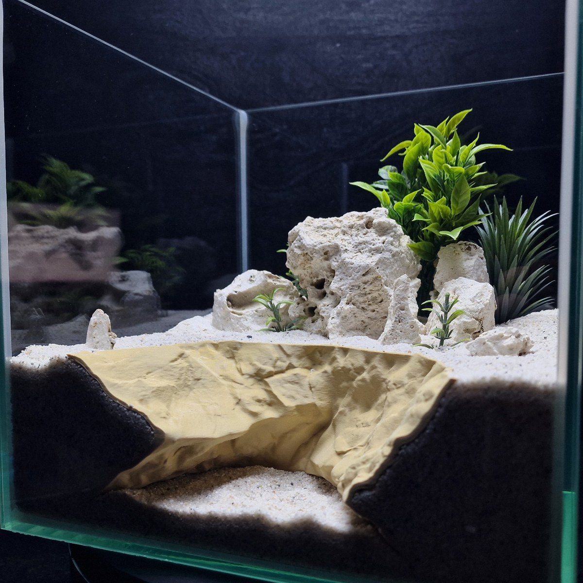 Cave 29 aquarium habitat view 9