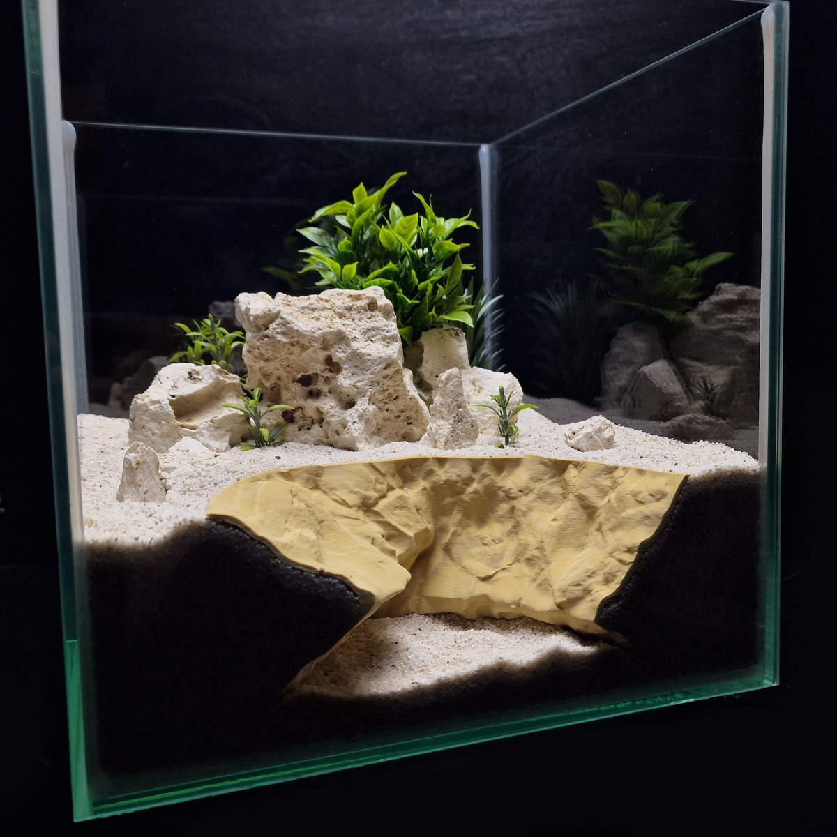Cave 29 aquarium habitat view 10