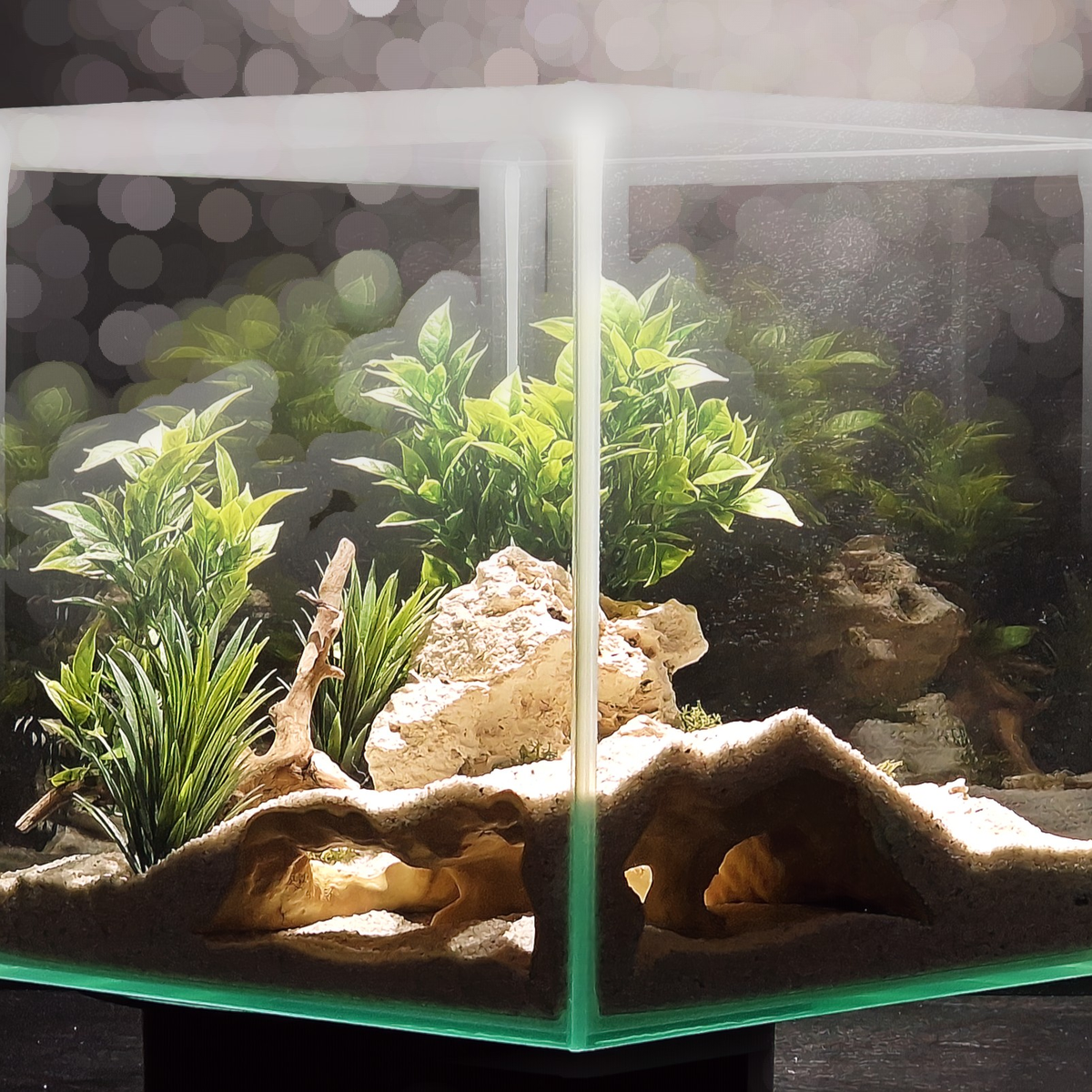 Cave 5 aquarium habitat view 2
