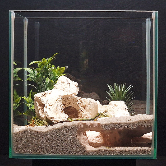 Cave 6 aquarium habitat view 2