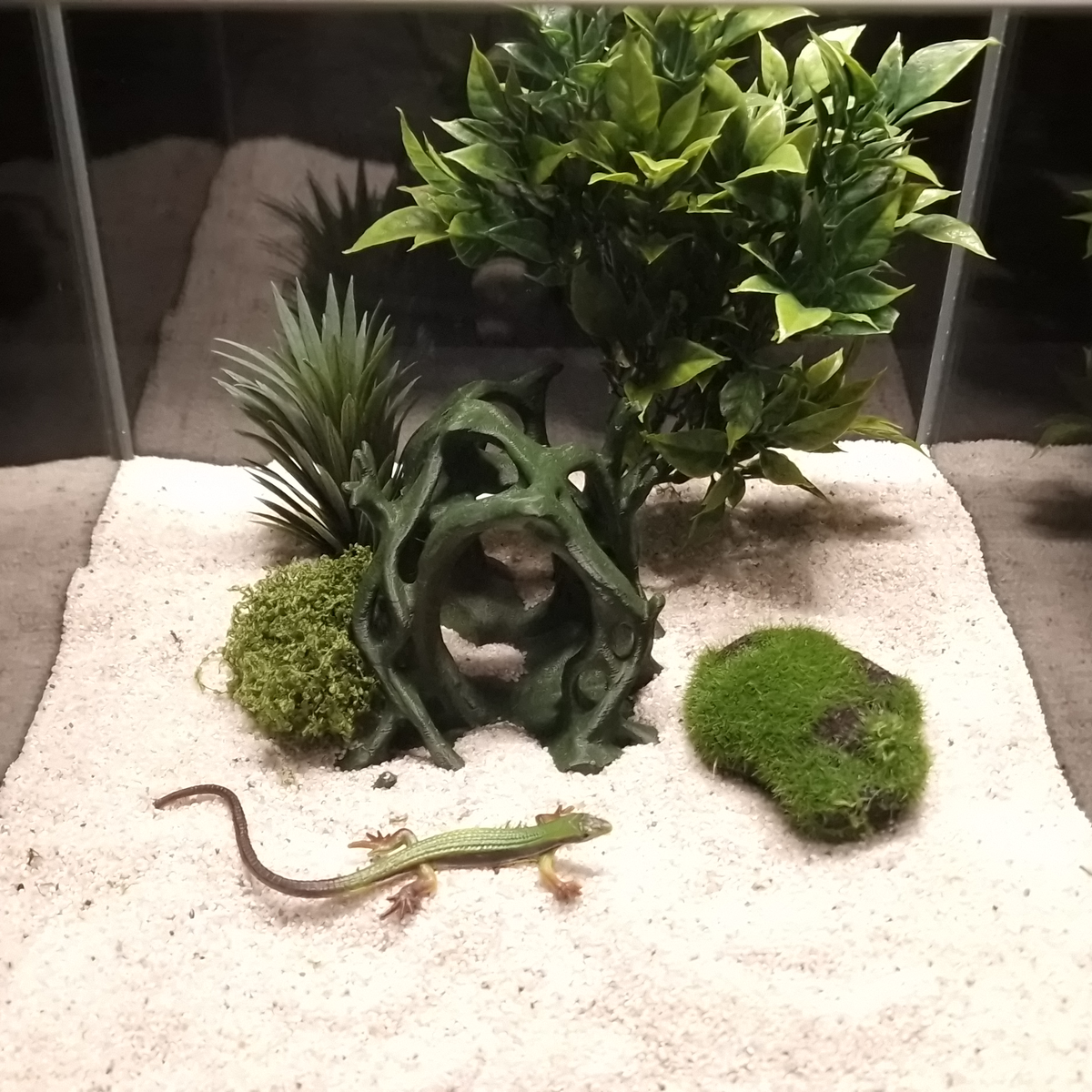 Cave 9 aquarium habitat view 5
