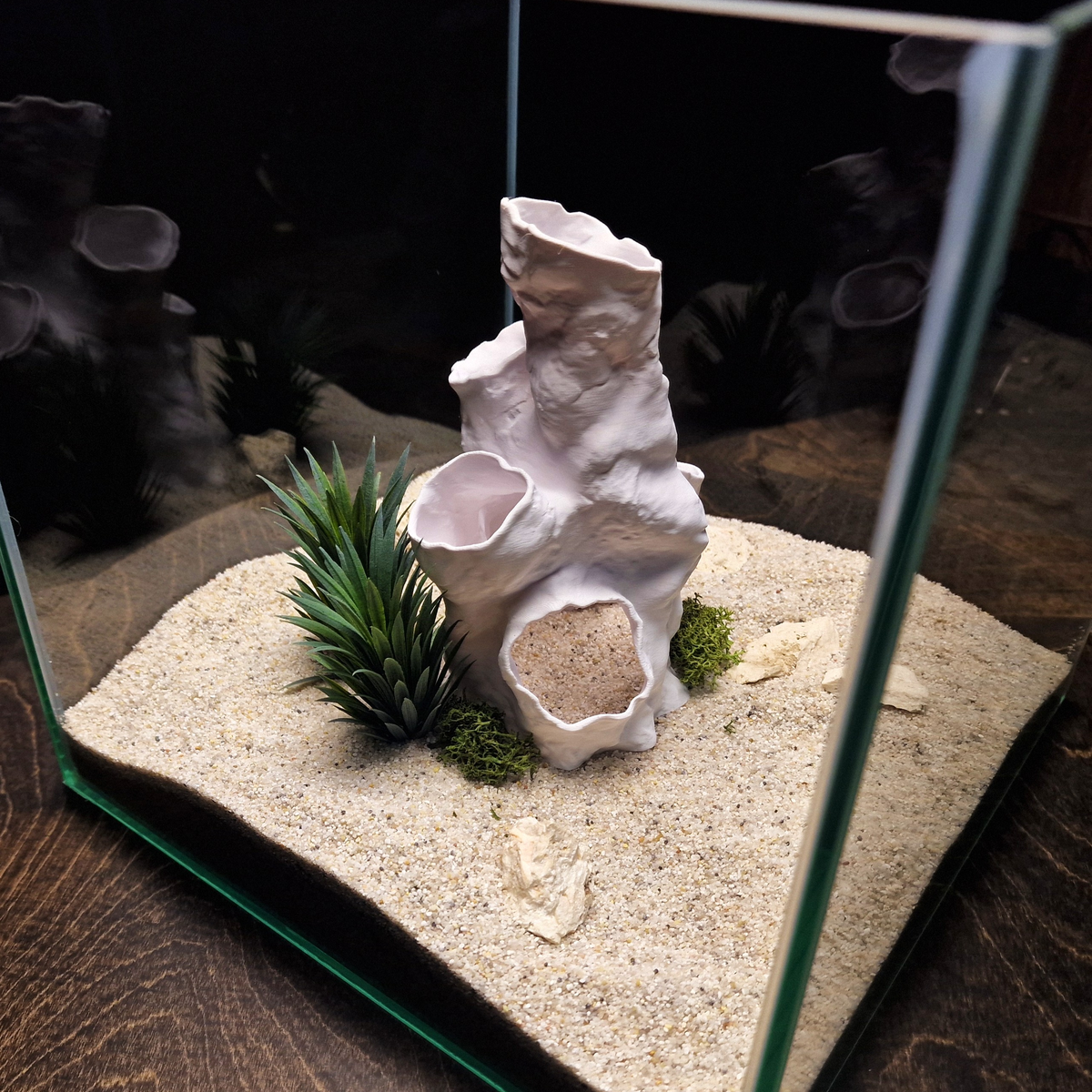 Coral Tunnel aquarium habitat view 4