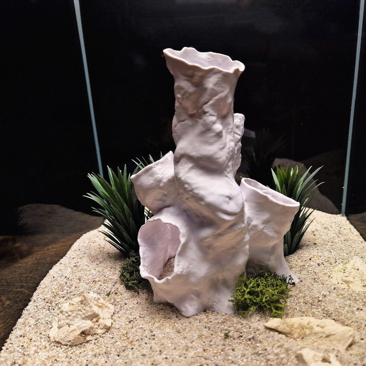 Coral Tunnel aquarium habitat view 5