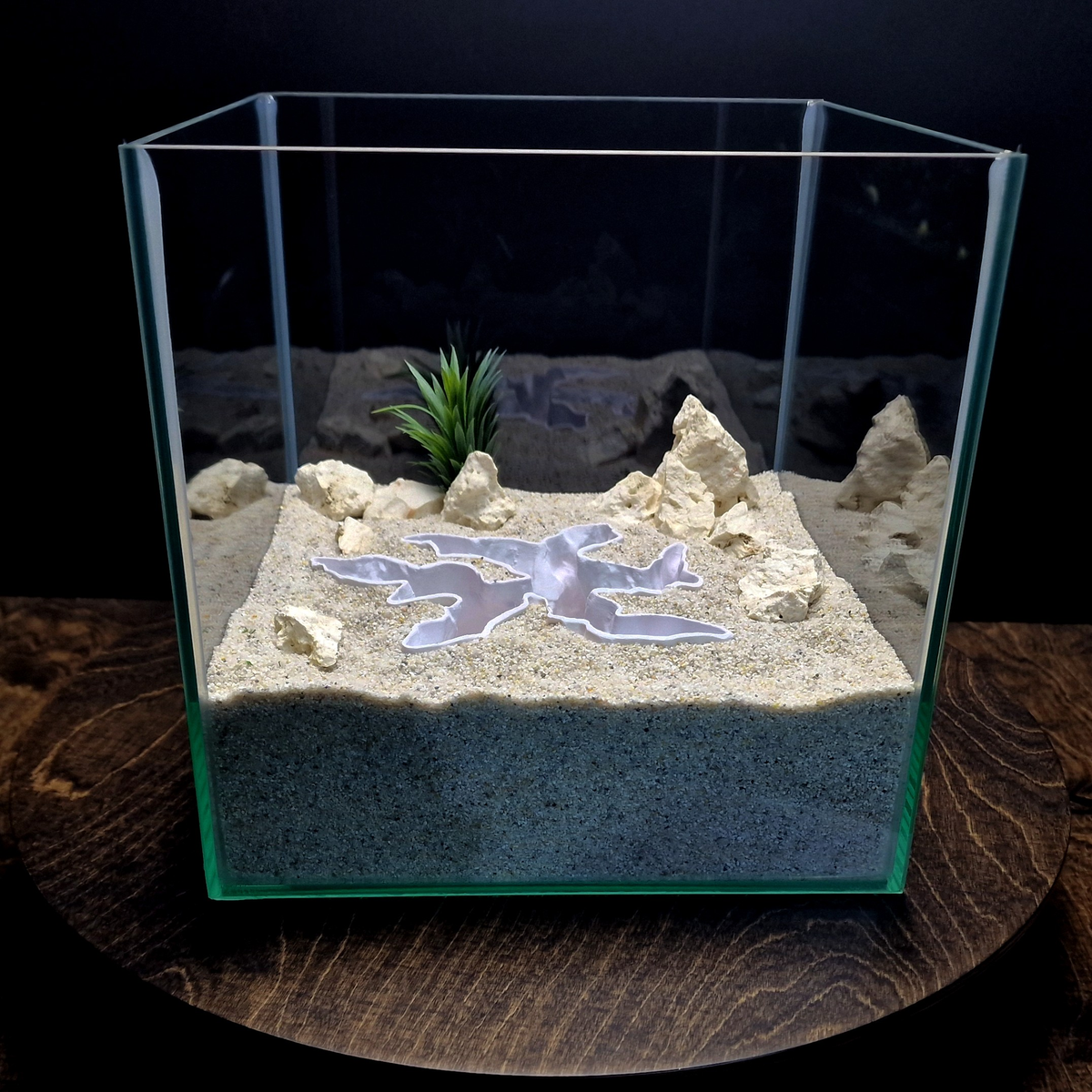 Current Divider aquarium habitat view 4