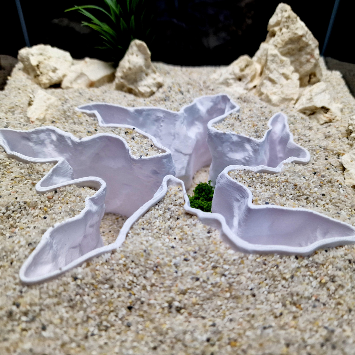 Current Divider aquarium habitat view 7