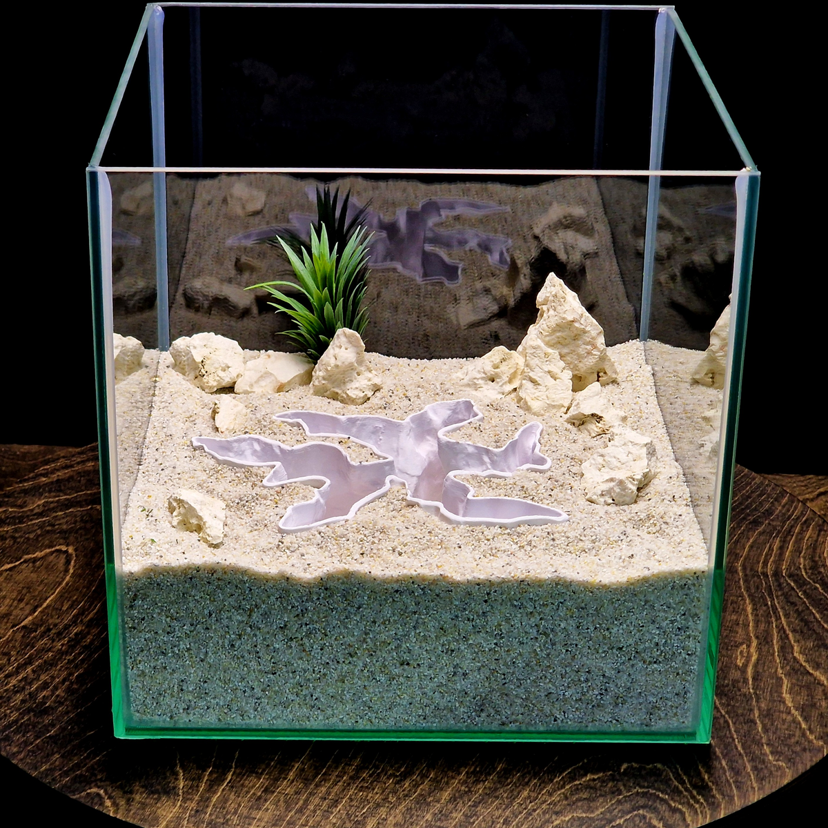 Current Divider aquarium habitat view 8