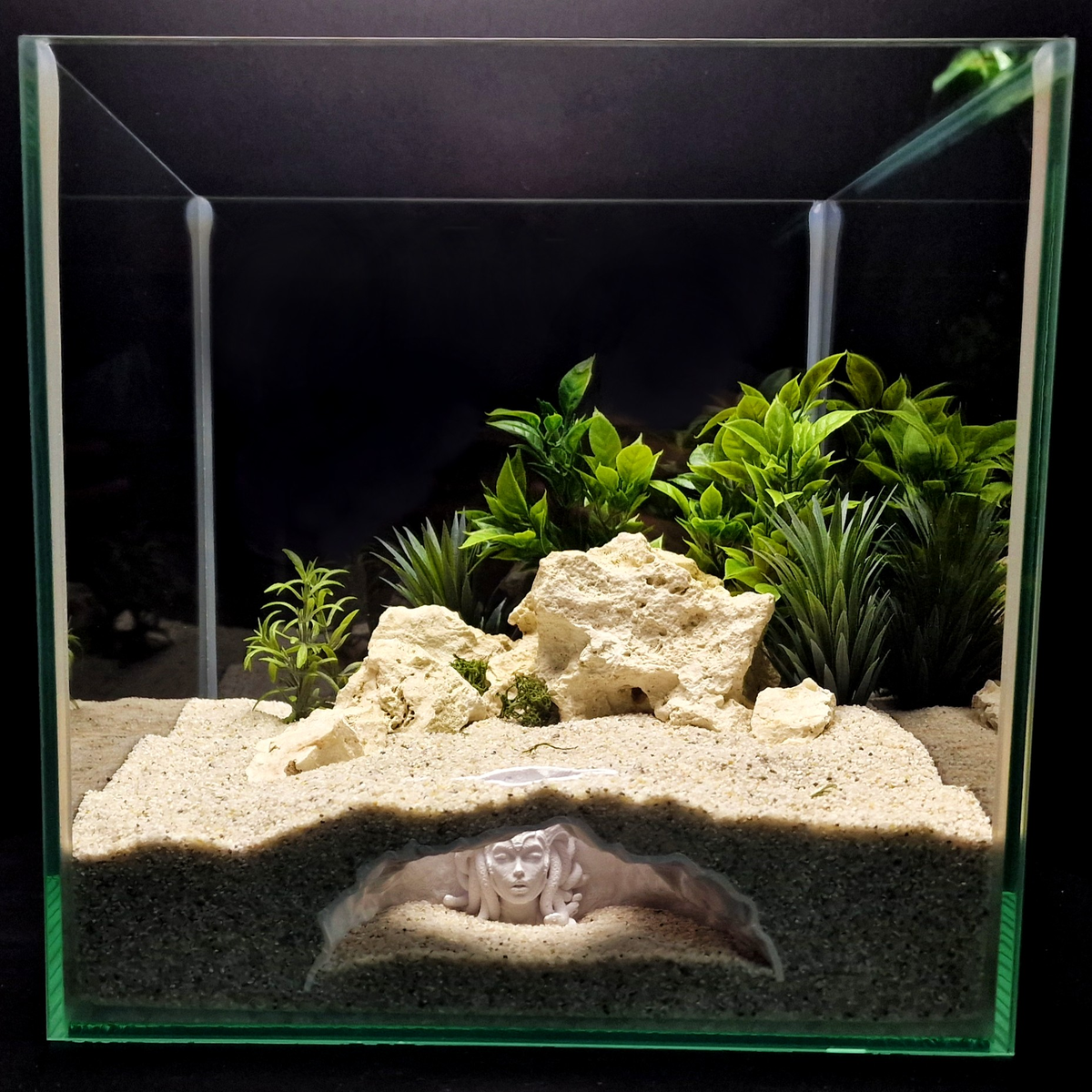 Medusa'S Lair aquarium habitat view 2