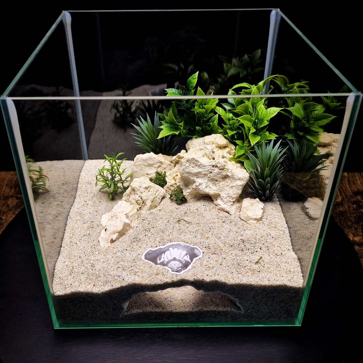 Medusa'S Lair aquarium habitat view 4