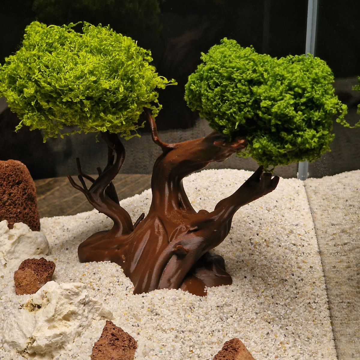 Mysterious Tree source 004 2