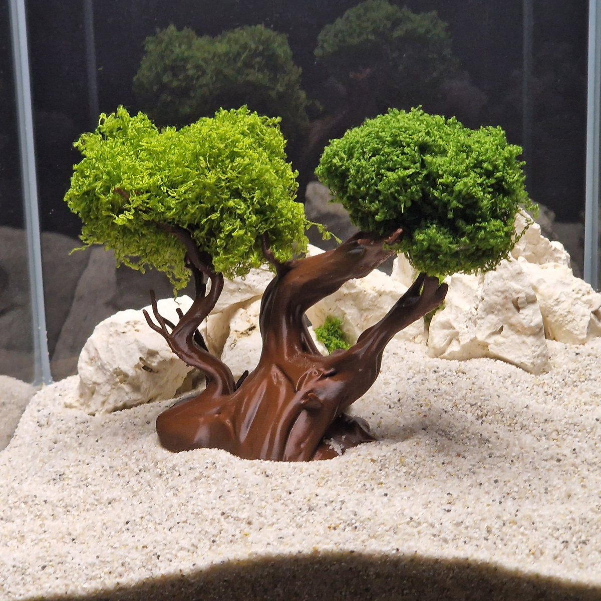 Mysterious Tree source 009 7