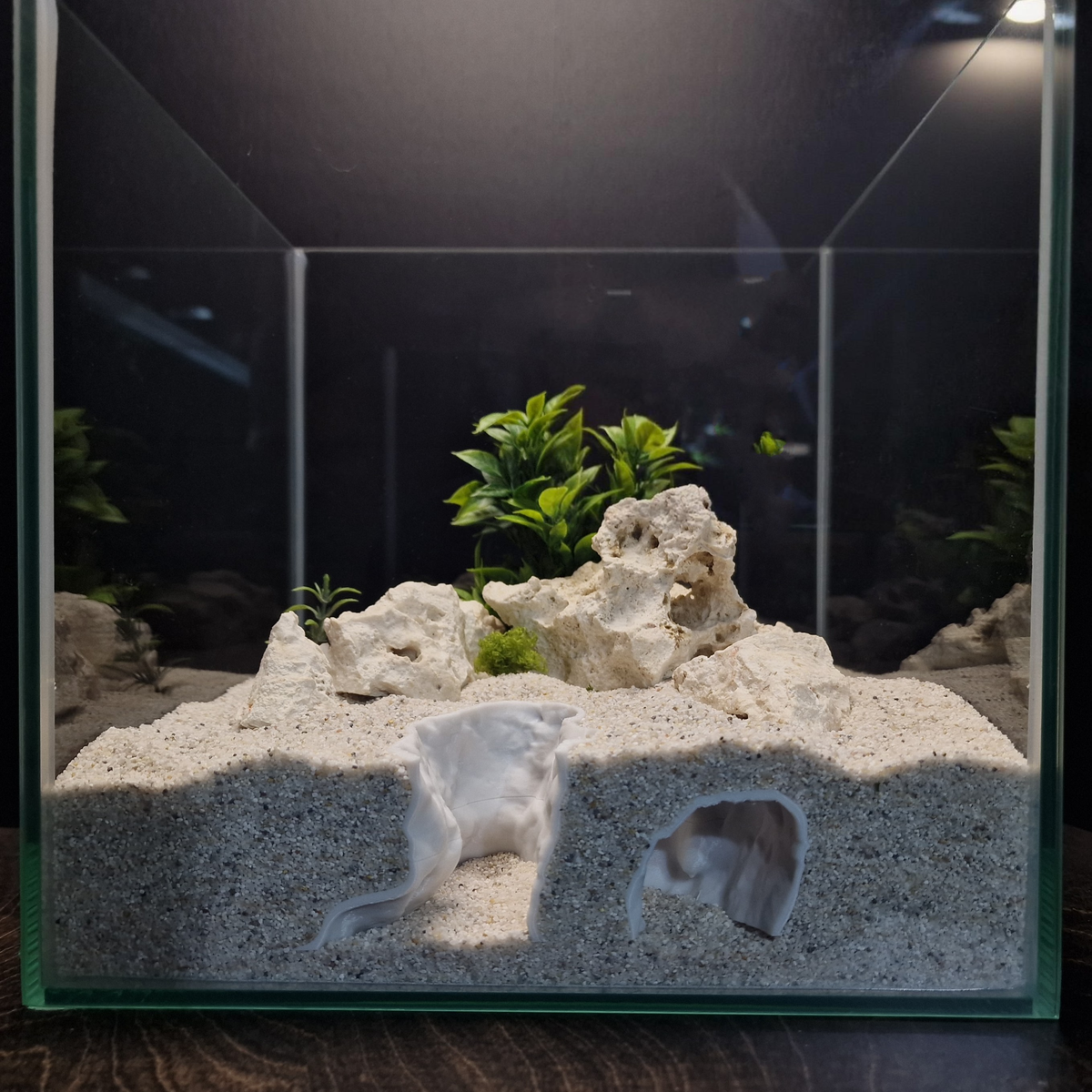 ReefSand view 001 1