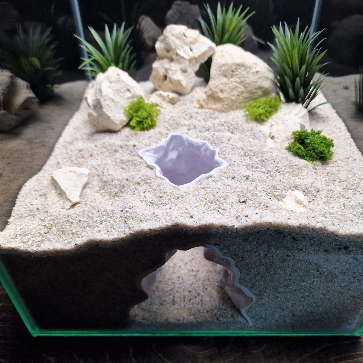 Rift Channel aquarium habitat view 4