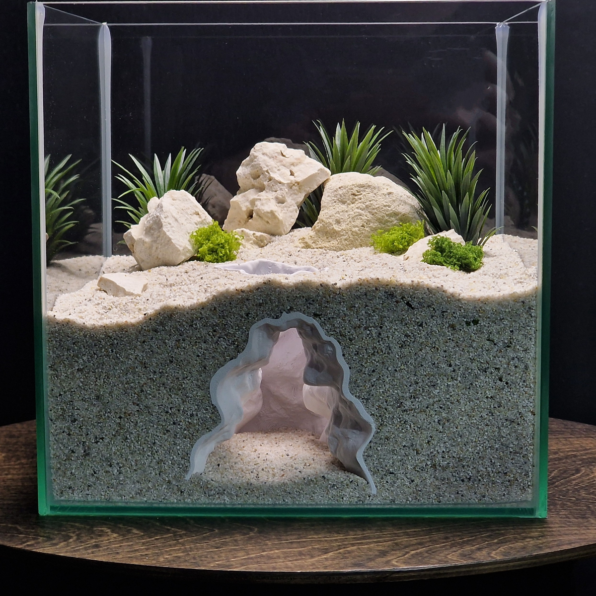 Rift Channel aquarium habitat view 5