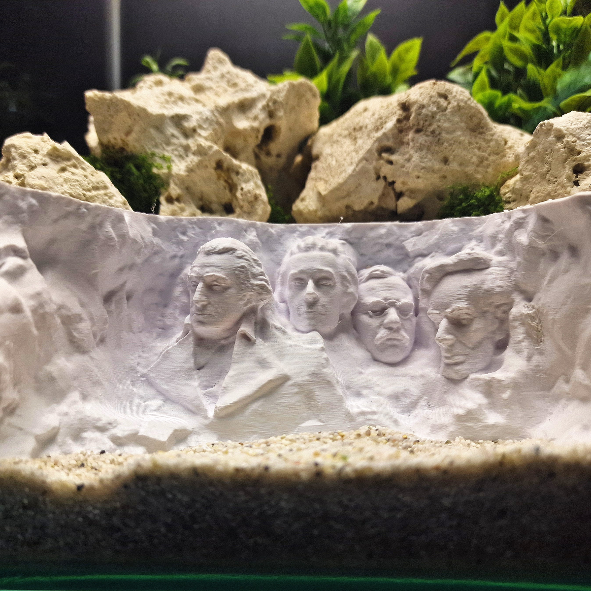 Rushmore Hollow aquarium habitat view 10