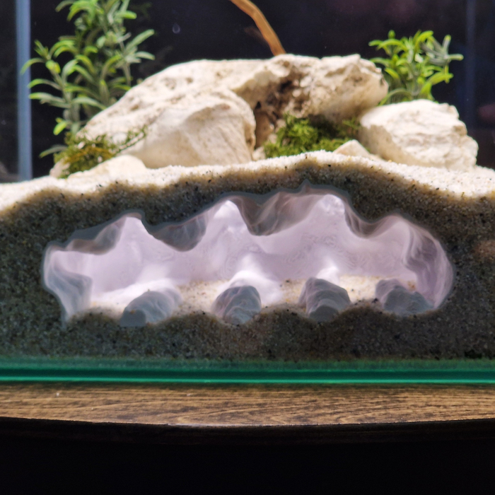 Sea Beast aquarium habitat view 2
