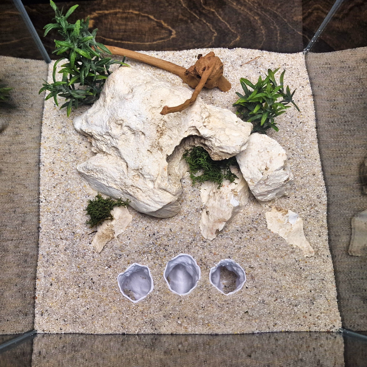 Sea Beast aquarium habitat view 4