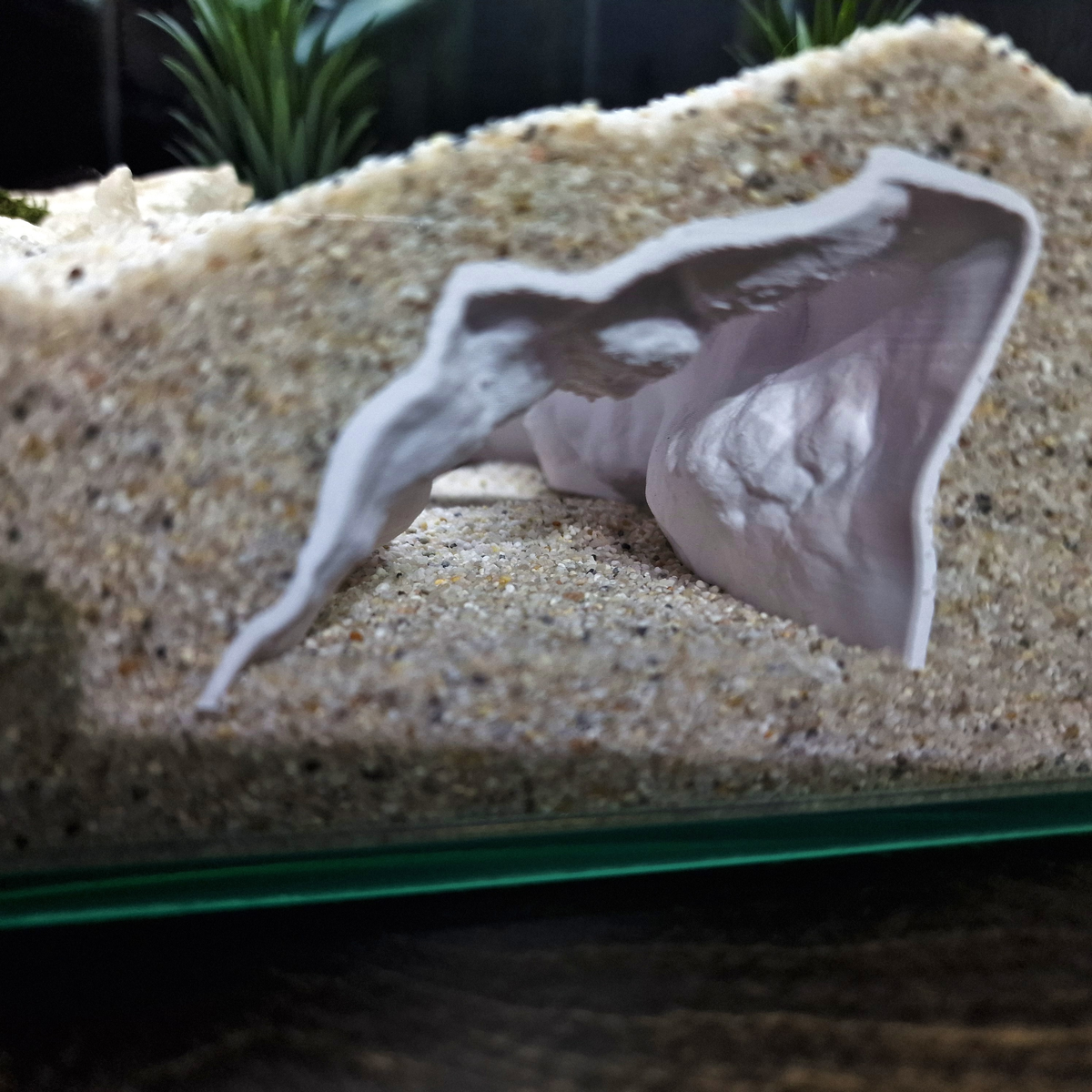 DriftCore Aquarium Tunnel — source 007 6