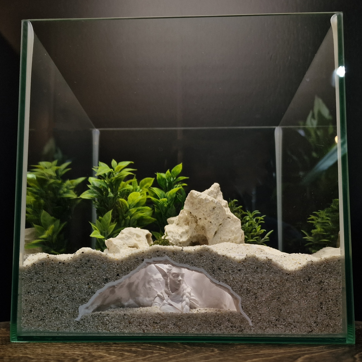 Elf Hunter Aquarium Cave — source 003 2