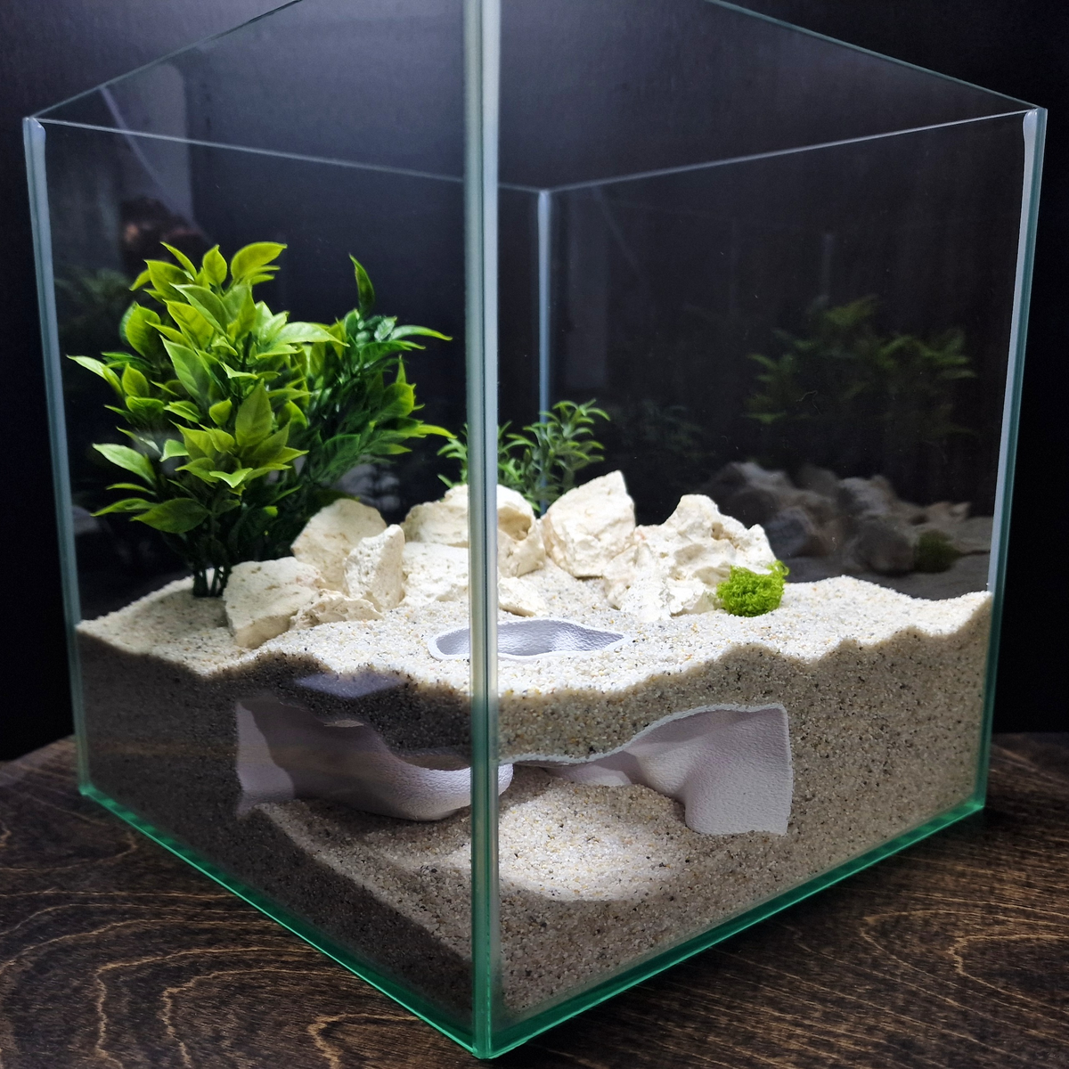 FluxDen Aquarium Cave — source 006 5