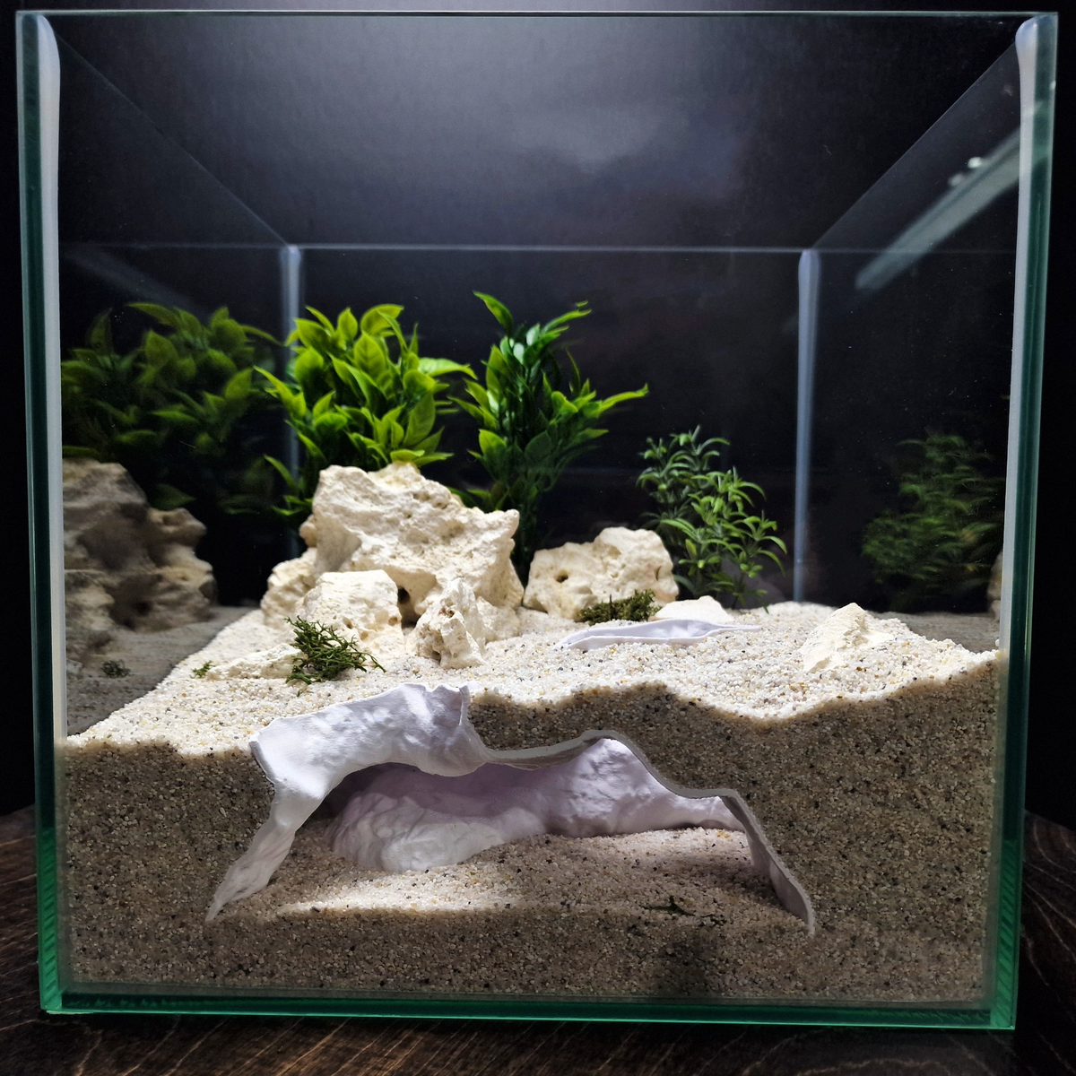 HydraNest Aquarium Cave — source 001 1