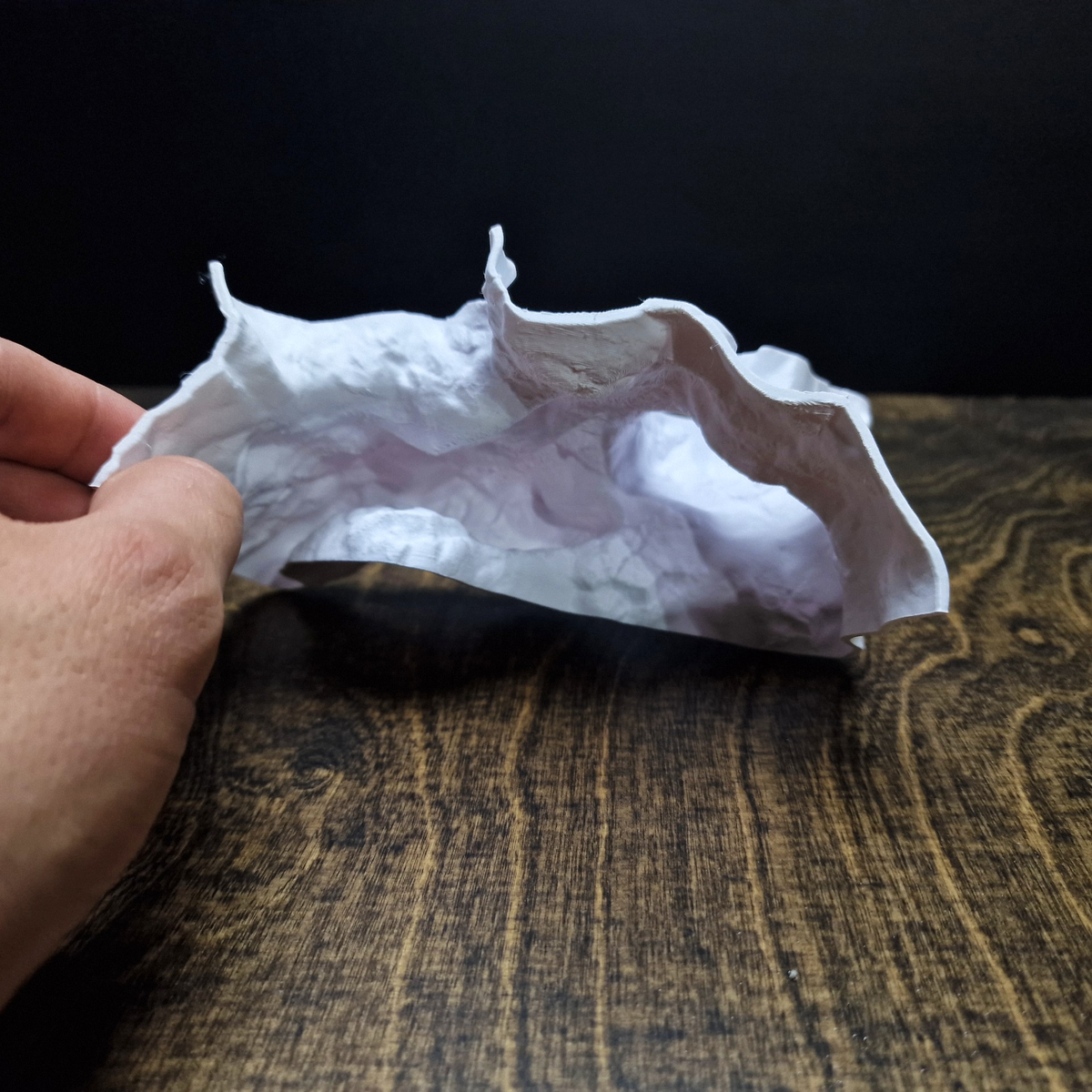 HydraNest Aquarium Cave — source 002 10