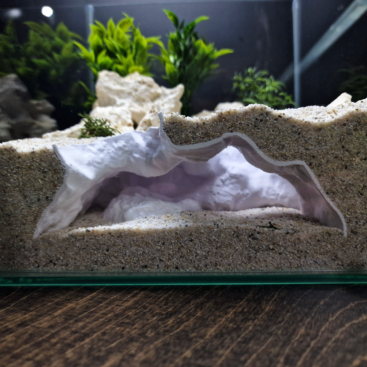 HydraNest Aquarium Cave — source 005 3