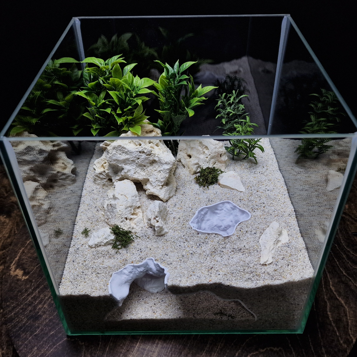 HydraNest Aquarium Cave — source 007 5