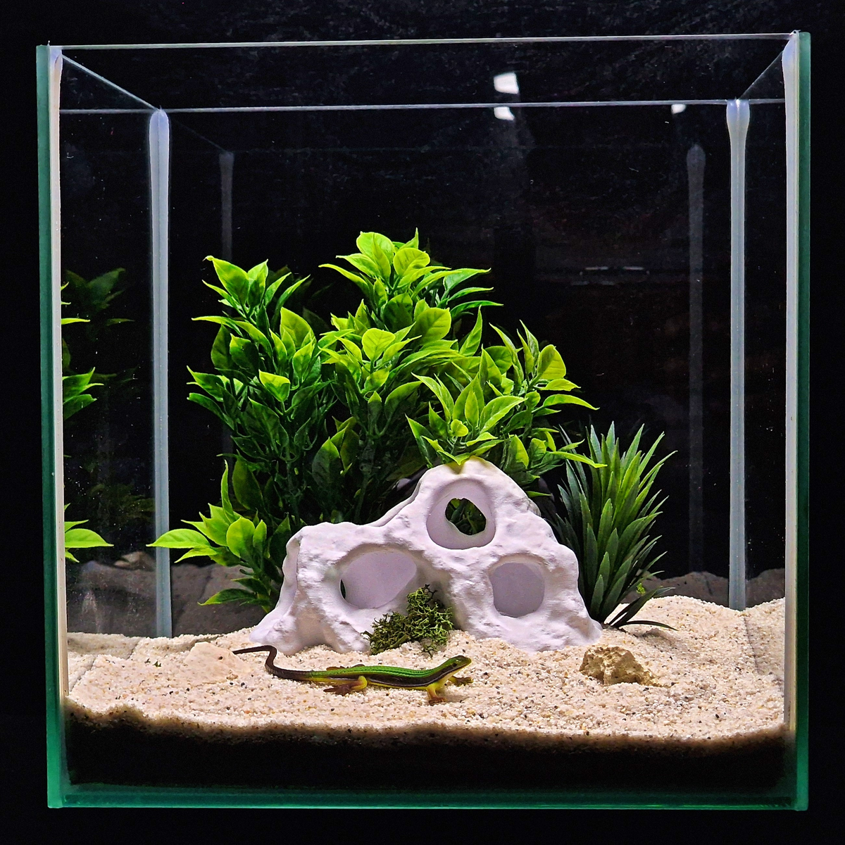 MoonRock Hide Aquarium Cave — source 007 6