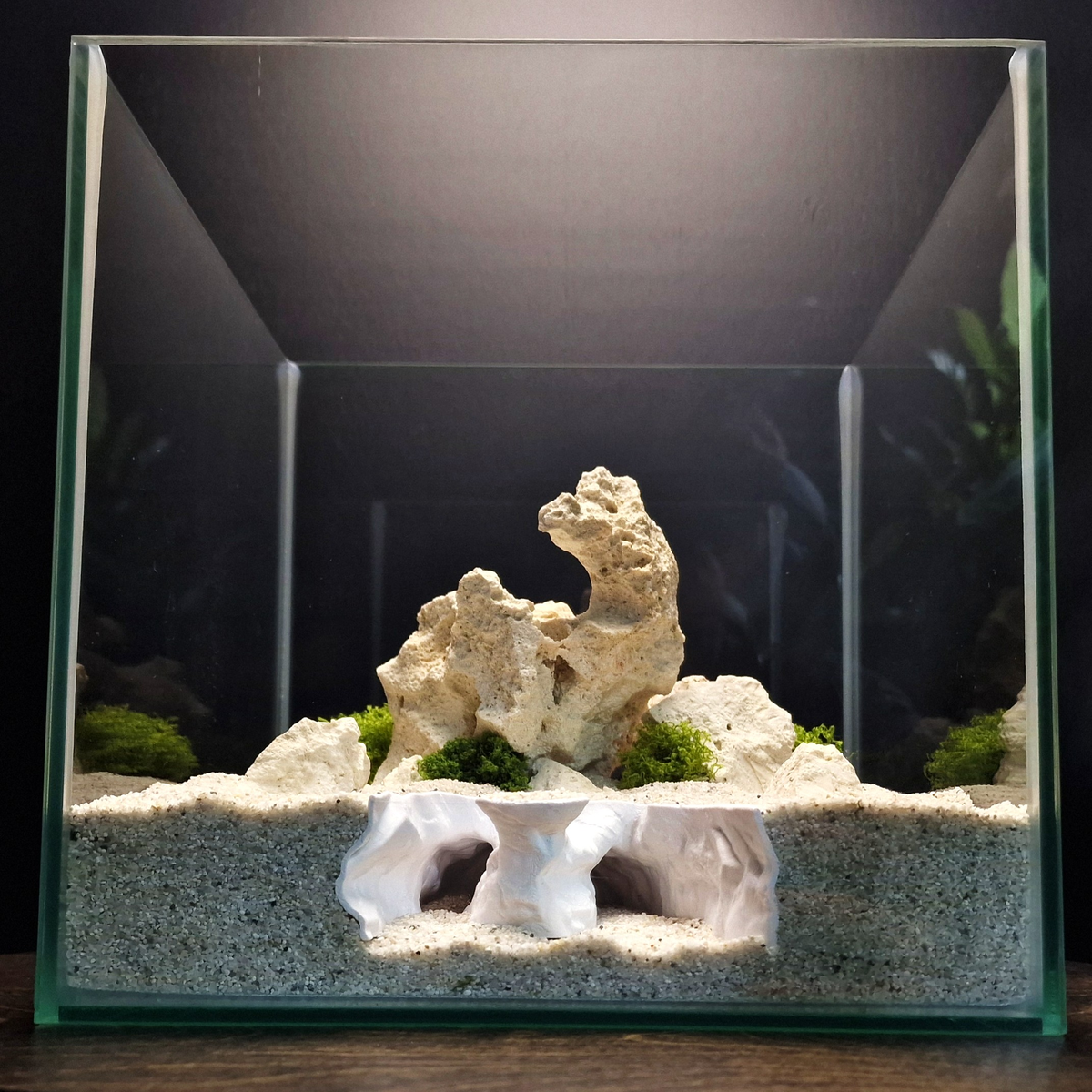 Nebula Ruin Aquarium Cave — source 003 2