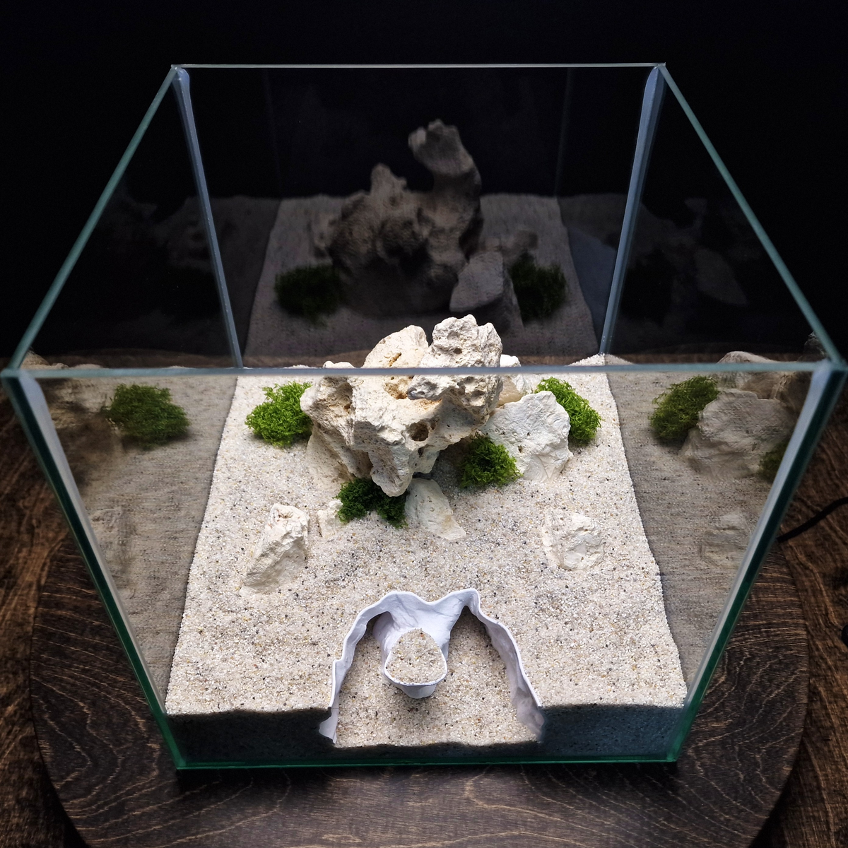 Nebula Ruin Aquarium Cave — source 004 3