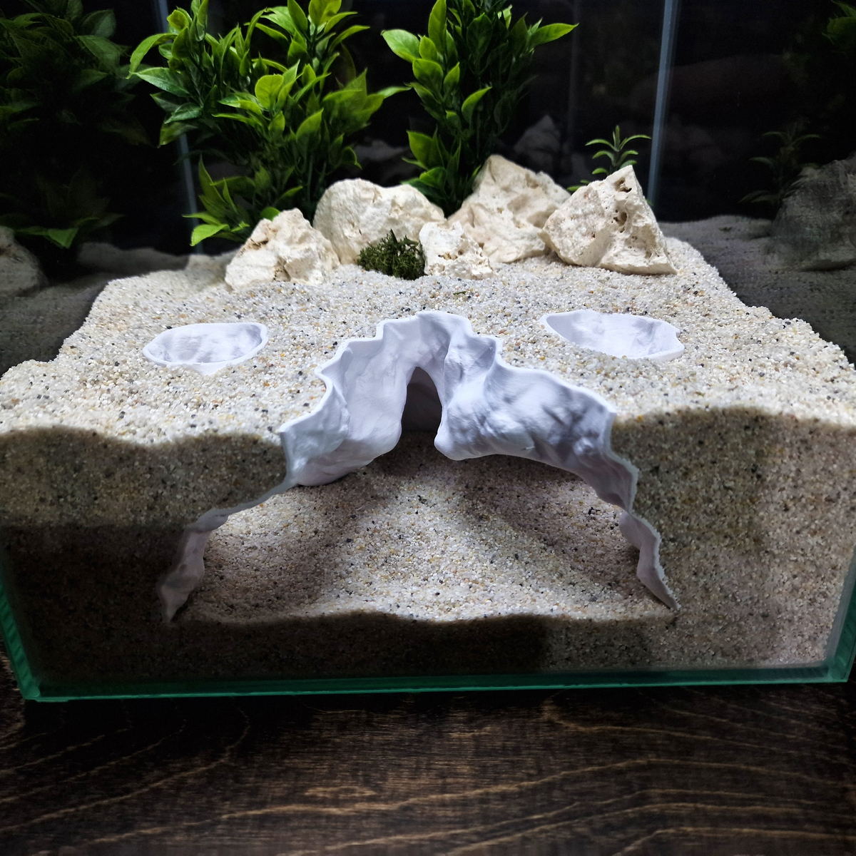 Nexora Aquarium Cave — source 004 2