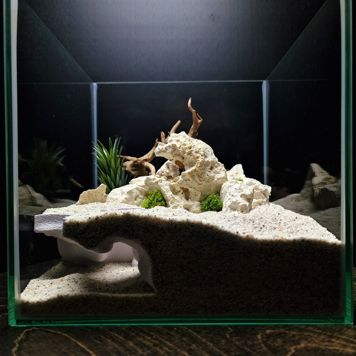 Ocean Corner Aquarium Cave — source 001 1