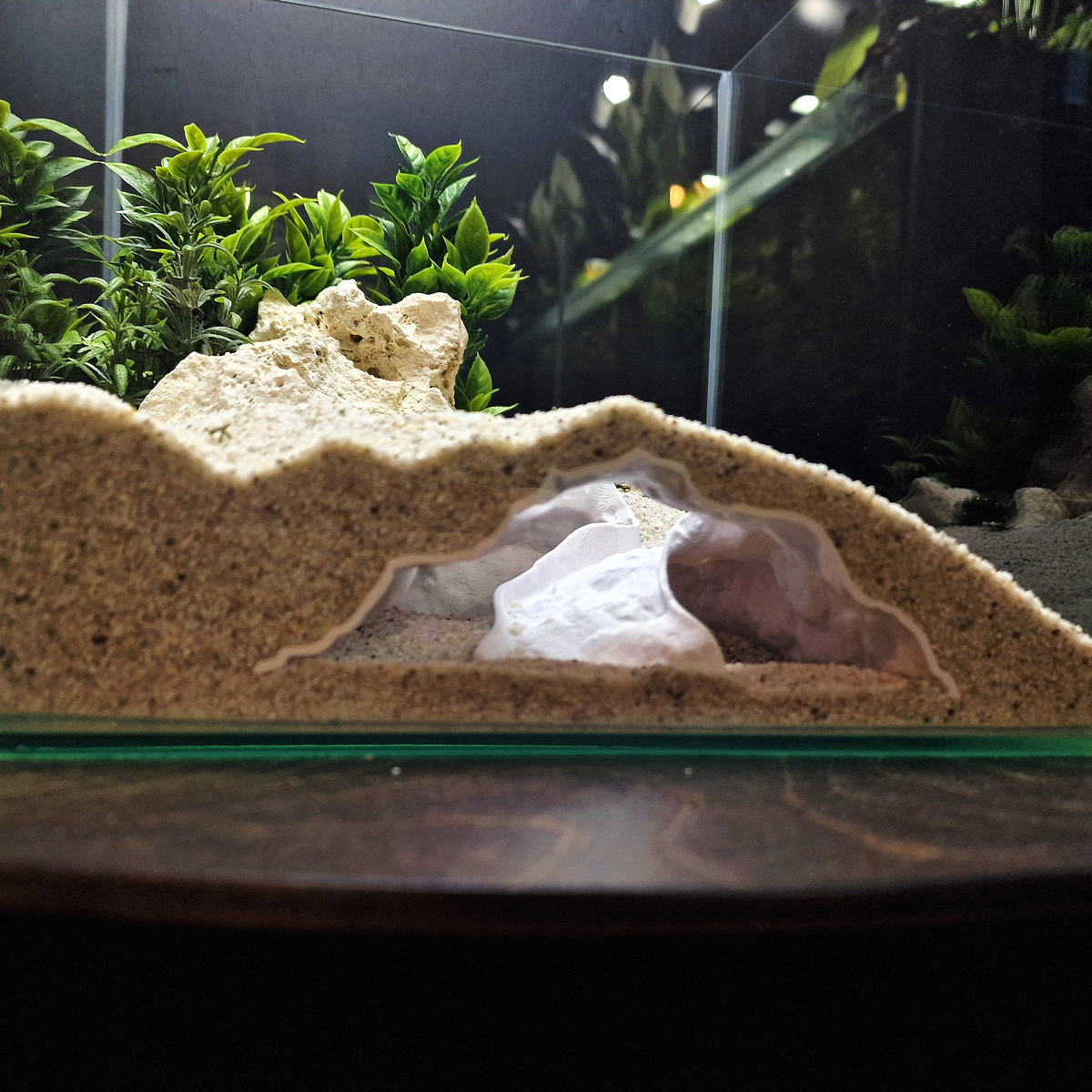 Ocean Vault Aquarium Cave — source 004 2