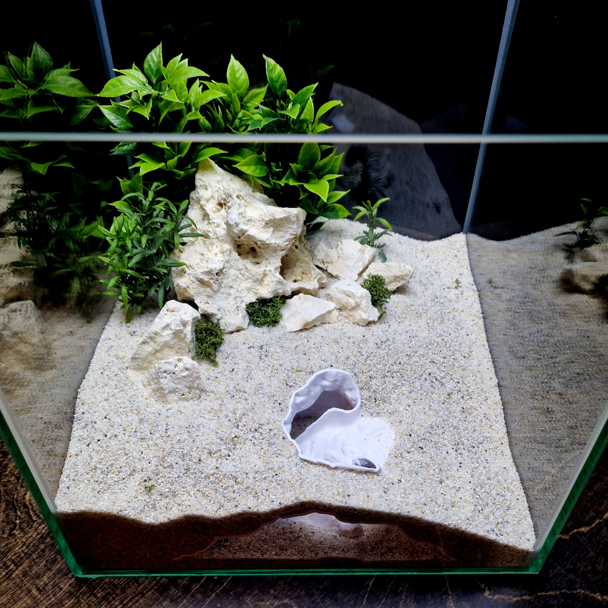 Ocean Vault Aquarium Cave — source 008 7