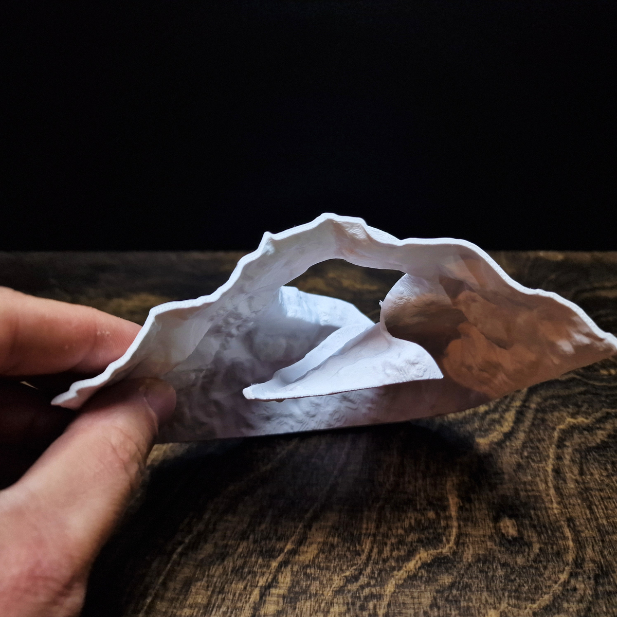 Ocean Vault Aquarium Cave — source 010 9