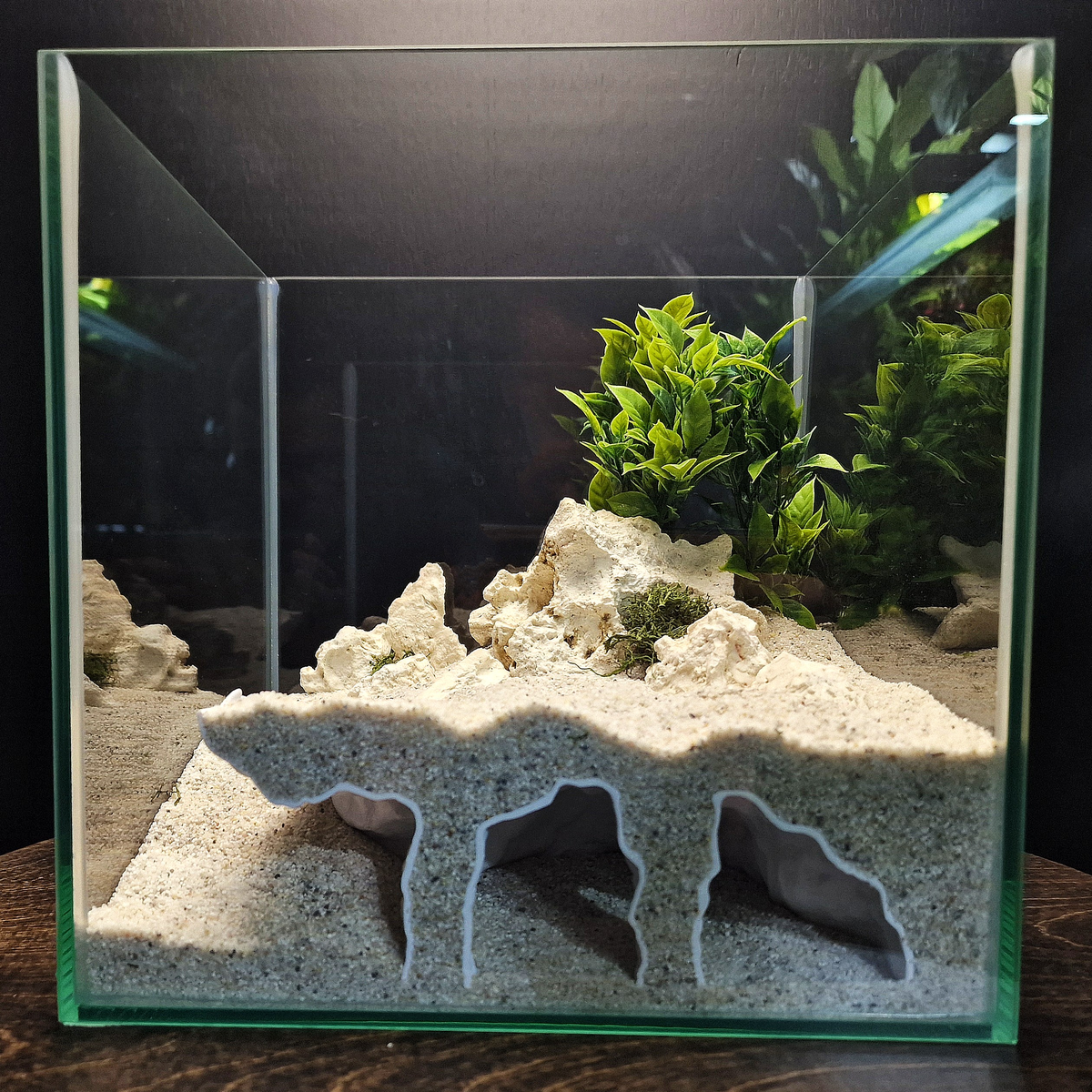 Orbit Grave Aquarium Cave — source 003 2