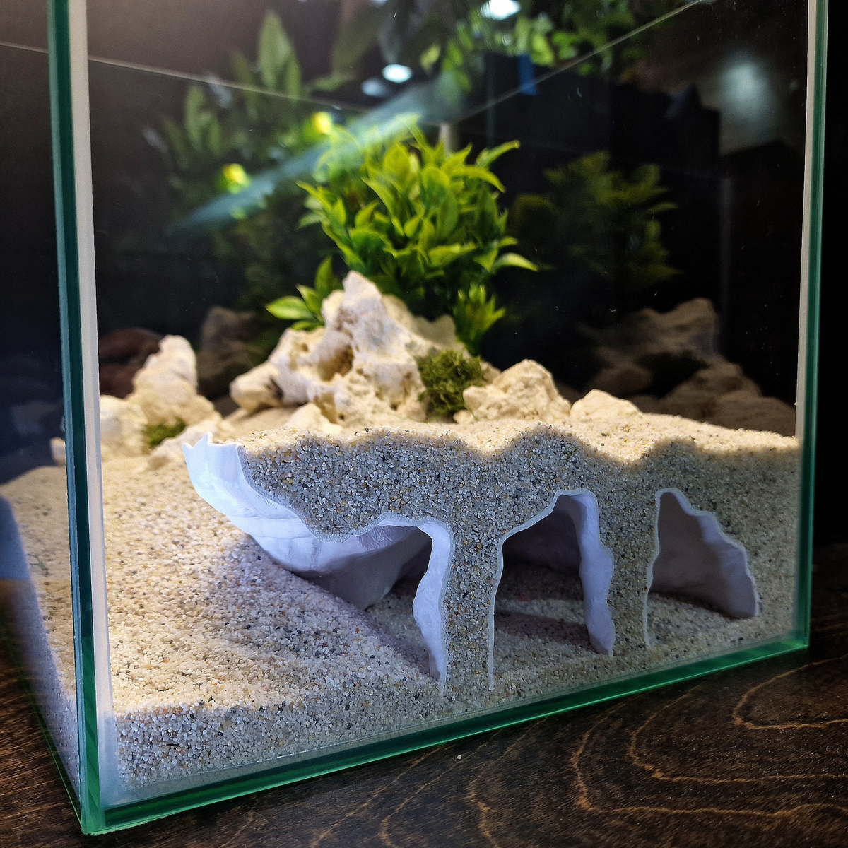 Orbit Grave Aquarium Cave — source 004 3