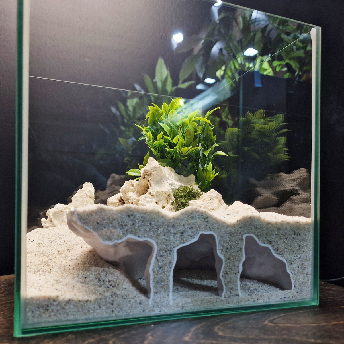 Orbit Grave Aquarium Cave — source 009 8