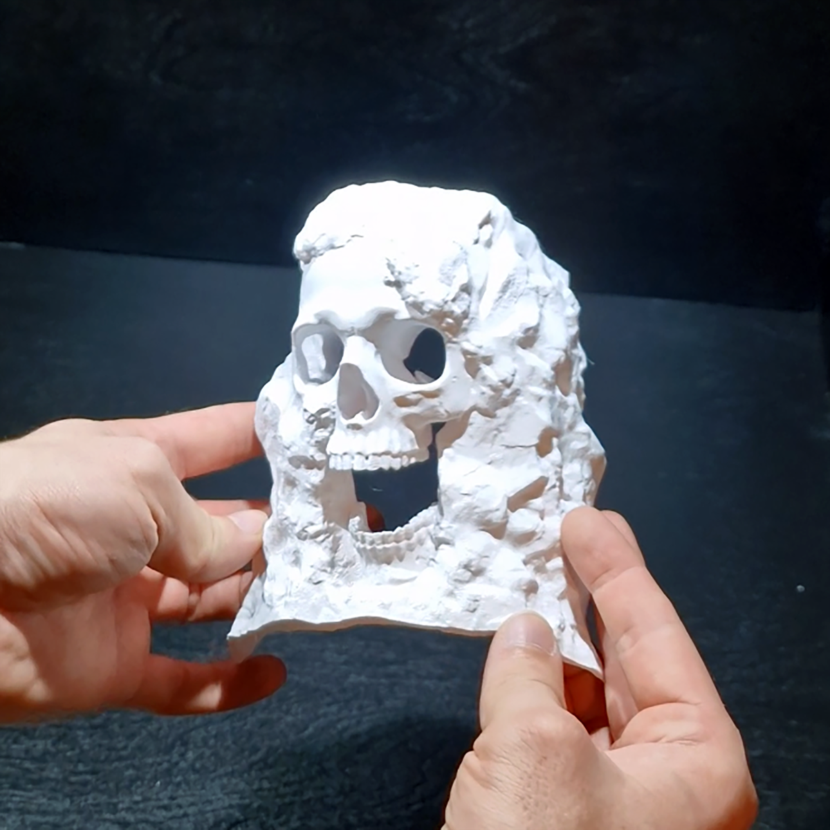 Pirate Cave aquarium skull cave source view 008-7