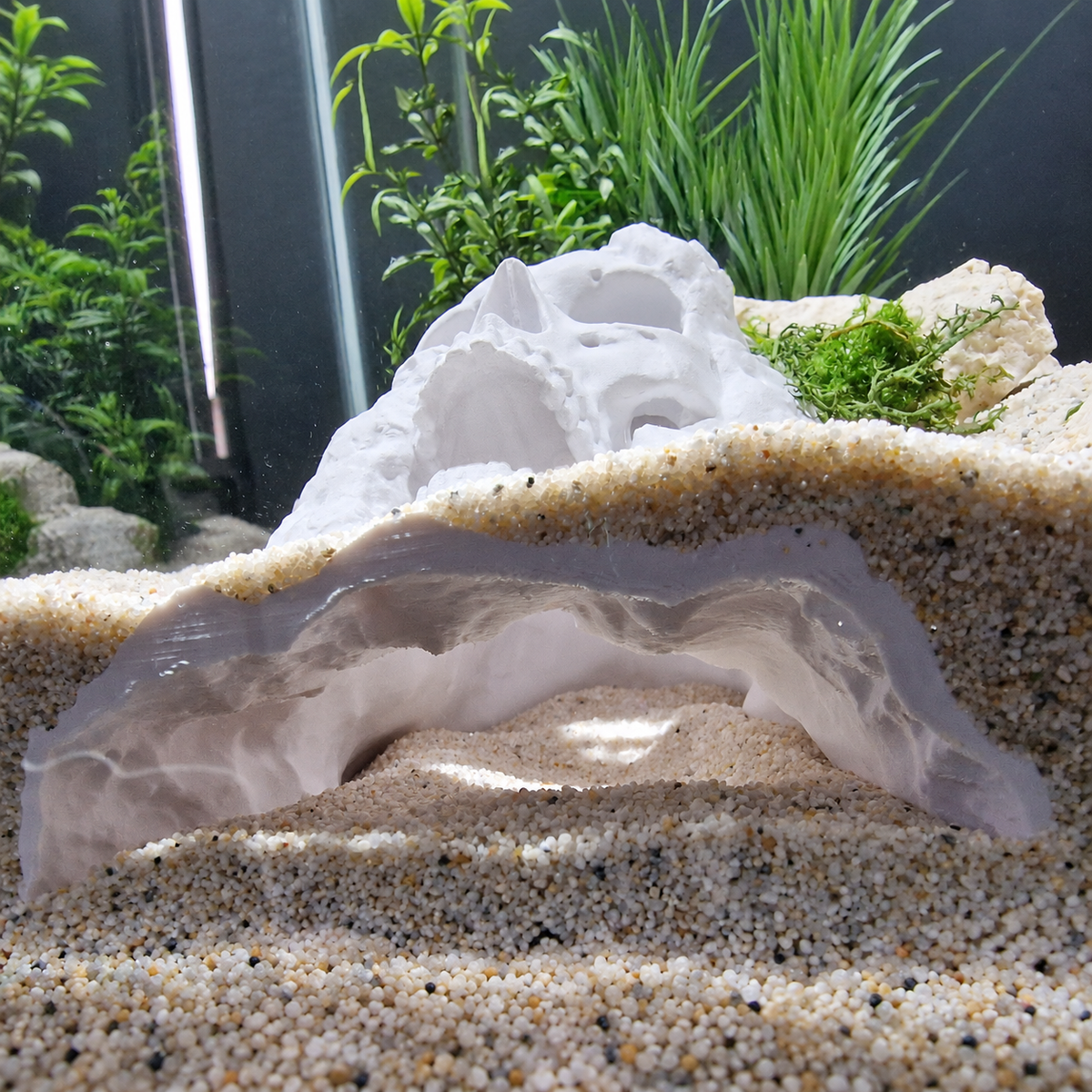 Pirate Cave aquarium skull cave source view 010-9