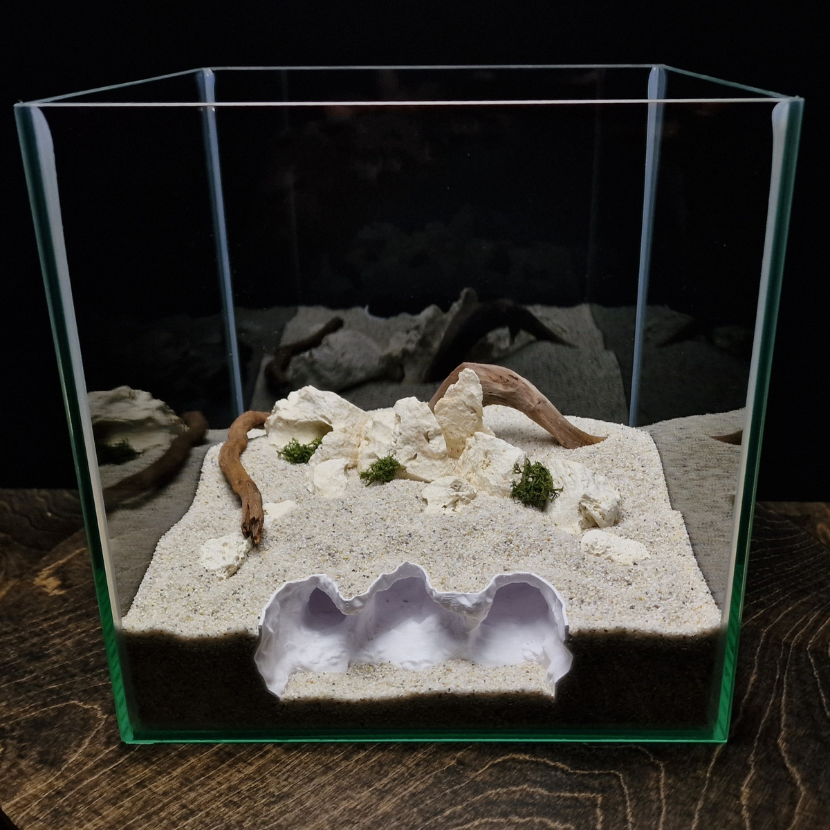 Saltwater Canyon Aquarium Hide — source 003 2