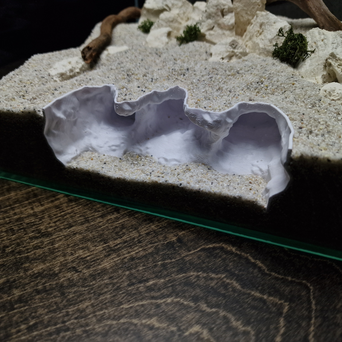 Saltwater Canyon Aquarium Hide — source 006 5