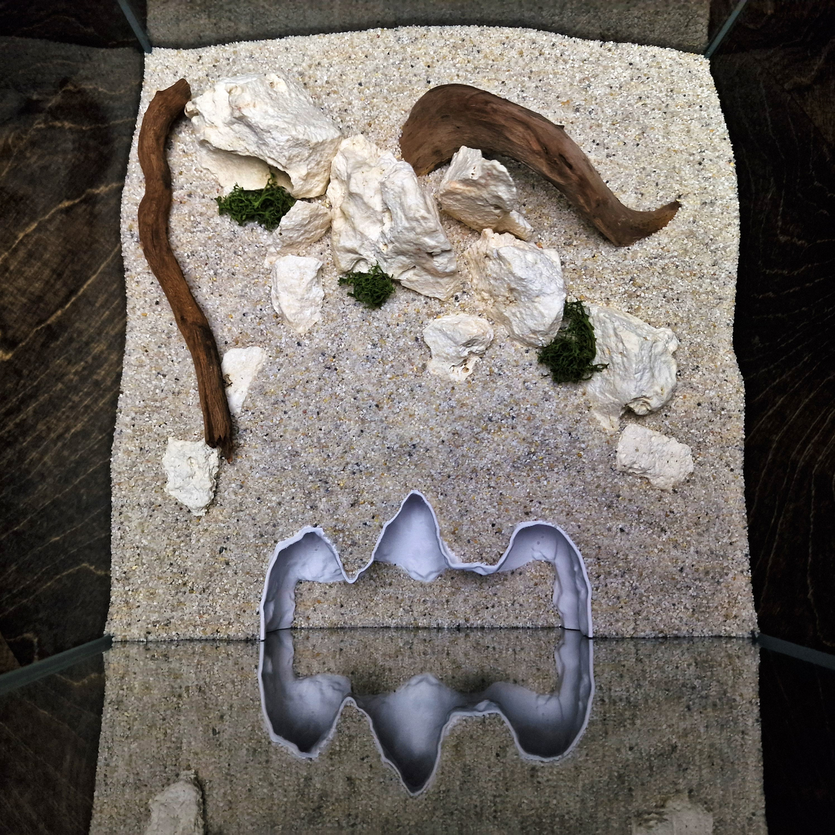 Saltwater Canyon Aquarium Hide — source 007 6