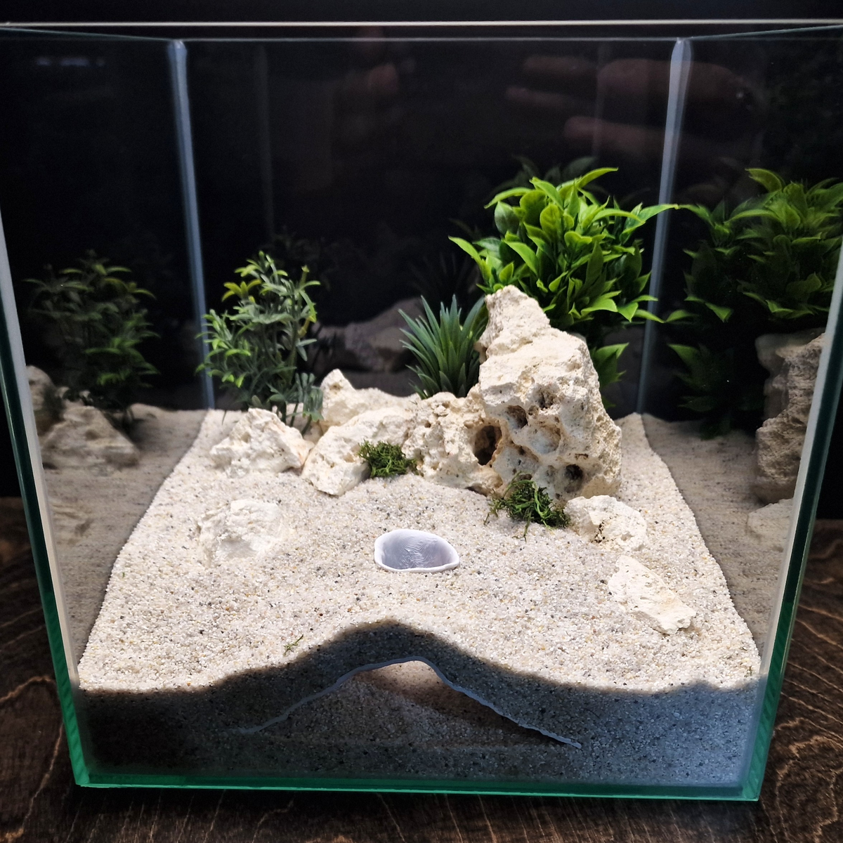 Stellar Relic Aquarium Cave — source 005 5