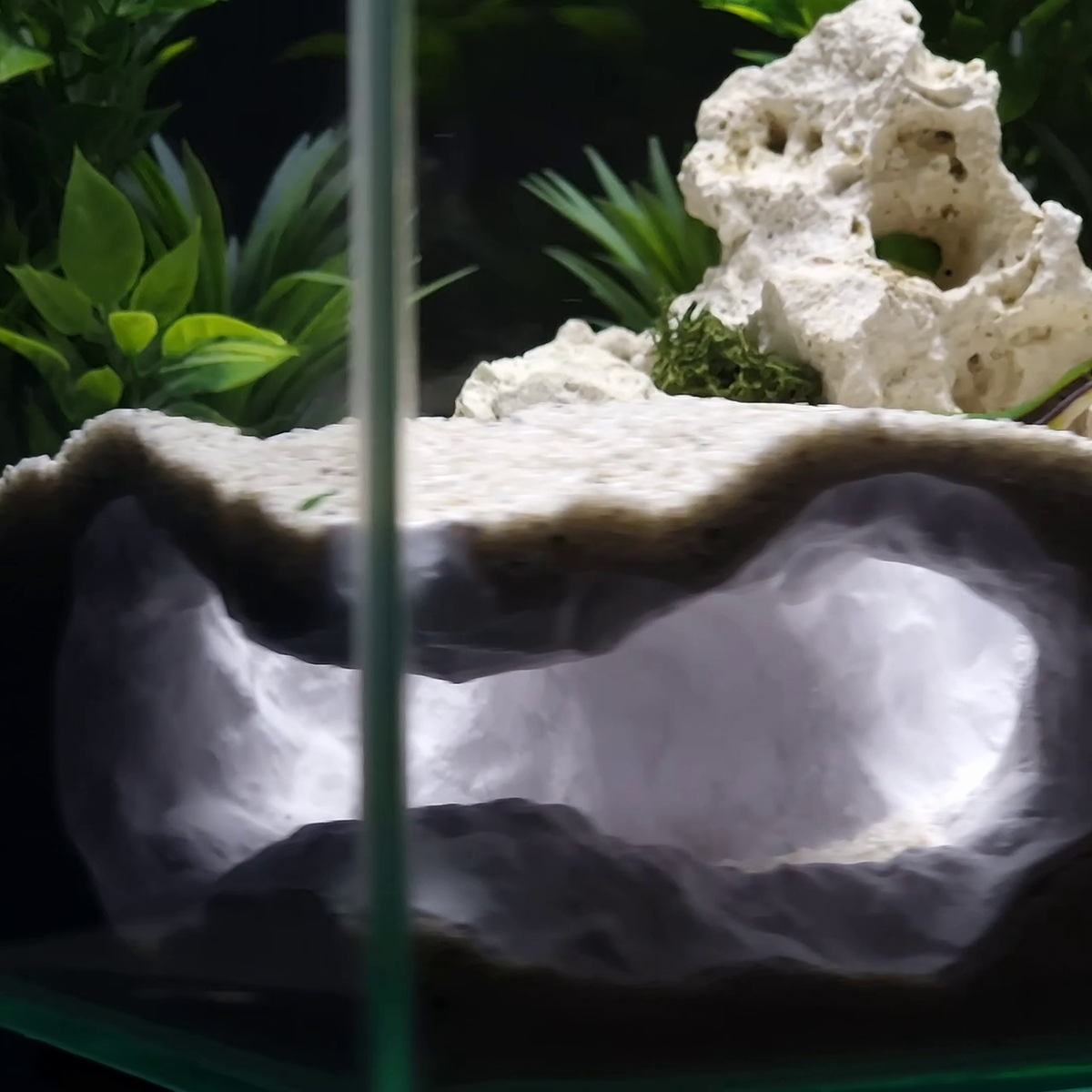 Tideveil Den Aquarium Corner Cave — source 002 10