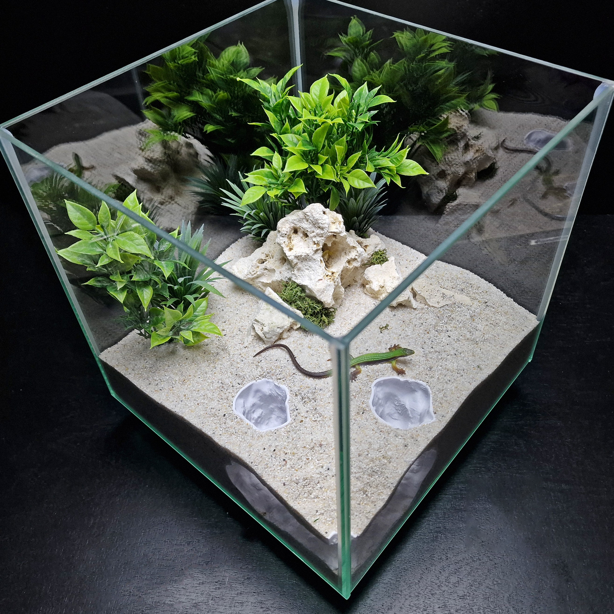 Tideveil Den Aquarium Corner Cave — source 007 6