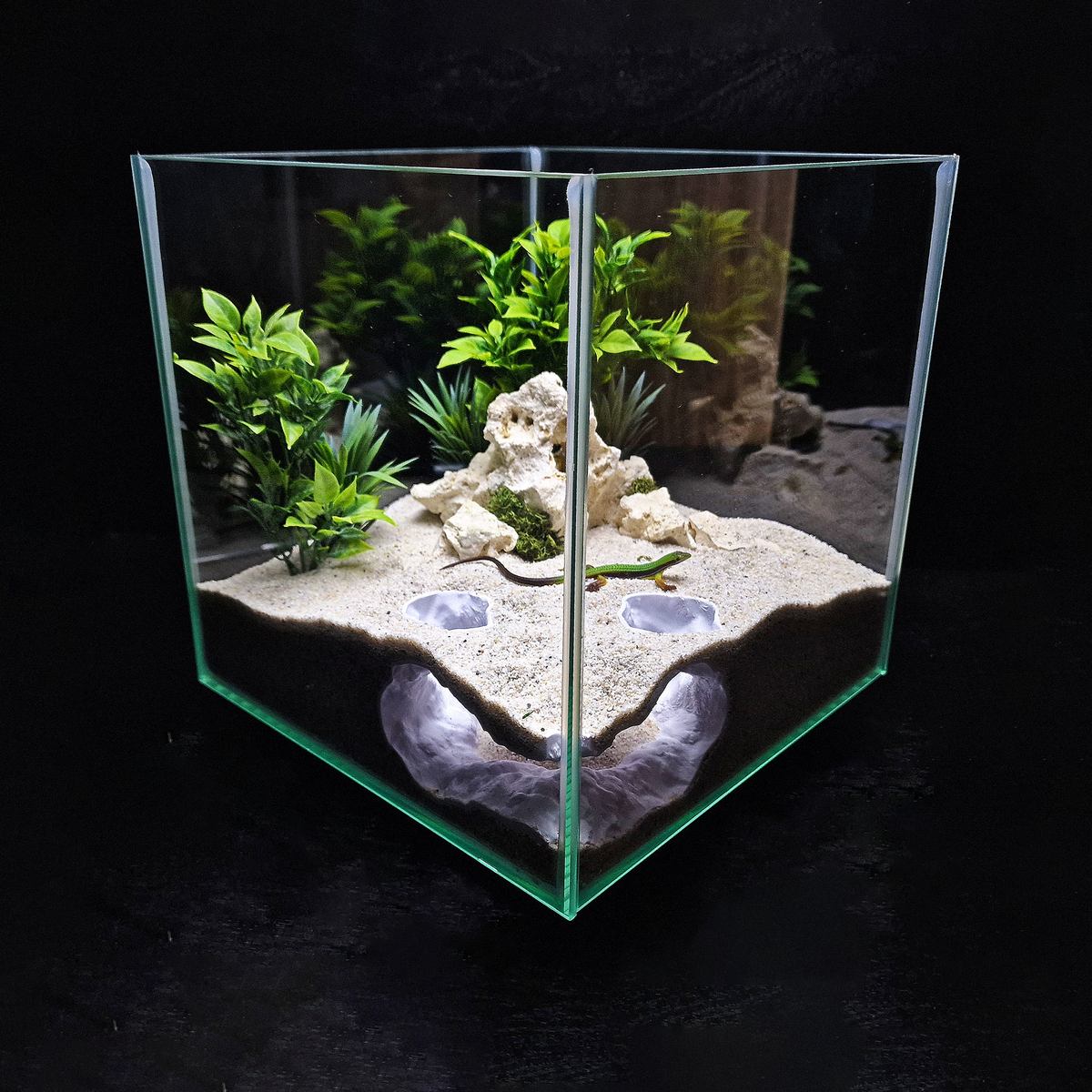 Tideveil Den Aquarium Corner Cave — source 008 7