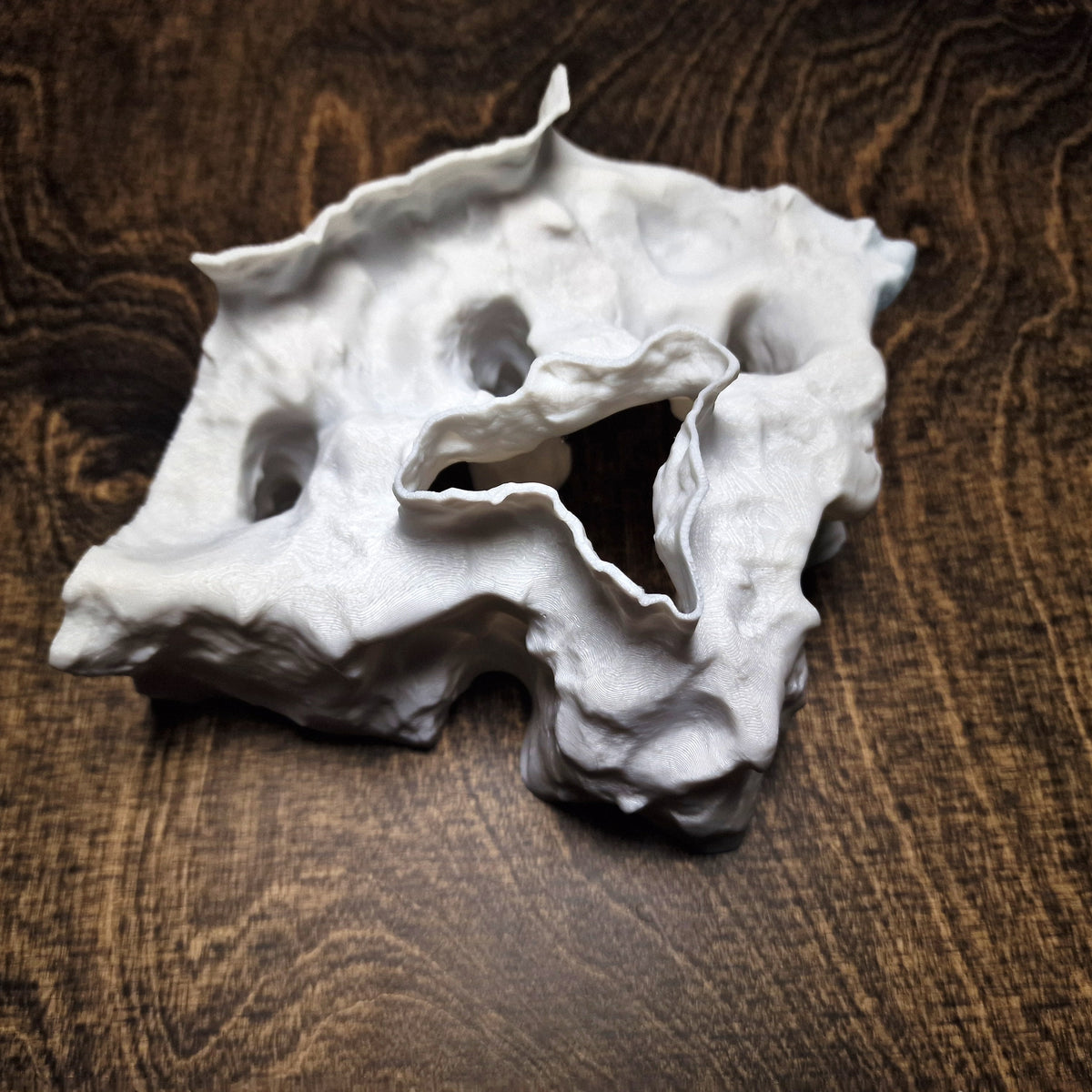 Tide Mesa Pleco Cave & Aquarium Tunnel – 3D-Printed Fish Hide