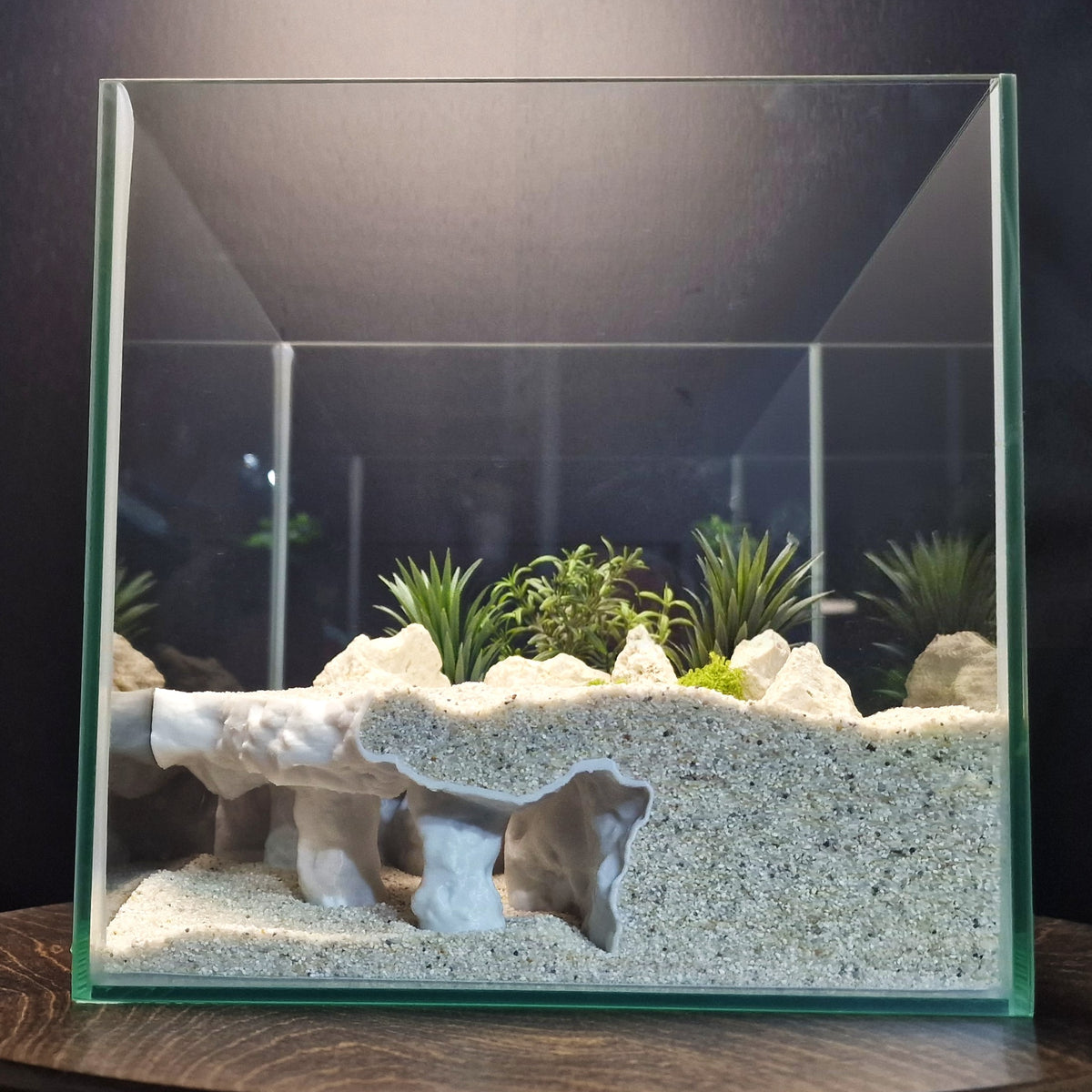 Tide Mesa Pleco Cave & Aquarium Tunnel – 3D-Printed Fish Hide