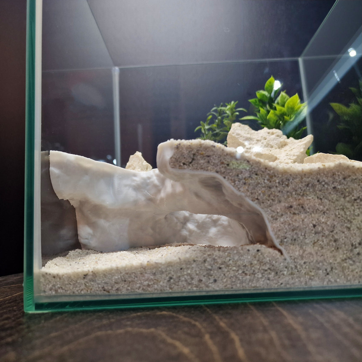 Dune Tide Aquarium Tunnel & Aquascape Hardscape – 3D-Printed Fish Hide